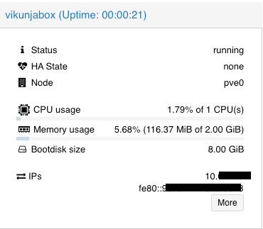 VM IPs