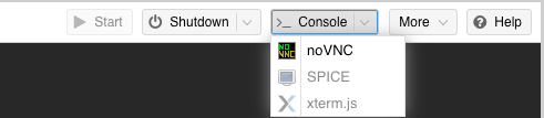 selector-xtermjs-not-usable